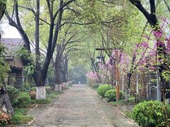 -天目湖御水温泉·度假酒店