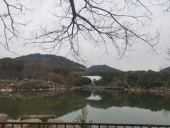 -白马涧龙池景区