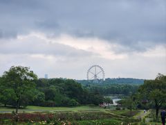 -宜兴龙背山森林公园