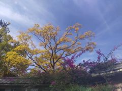 -萨尔瓦多Salvador's