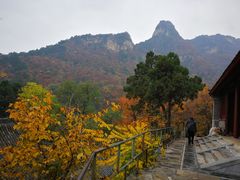 -北京上方山国家森林公园