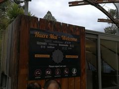 -怀托摩萤火虫洞