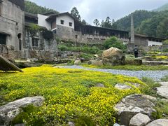 -MOJ coffee(瓯海泽雅水碓坑店)