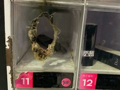-SFC上影影城(新世界店)