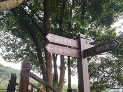 -天鹿湖森林公园