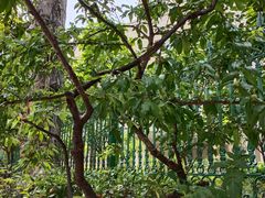 -上海市青浦区朱家角人民医院