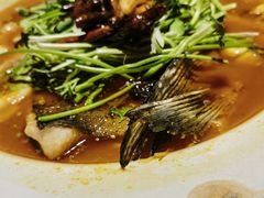 -清水亭湖北菜(大屯DT51店)