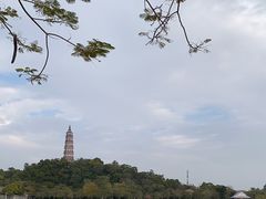 -顺峰山公园