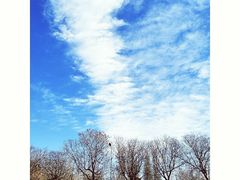 -首都师范大学(良乡校区)