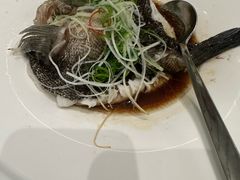 -圆苑(静安寺店)