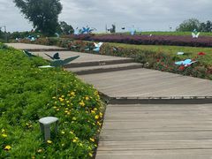 景点-天府芙蓉园