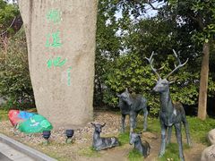 -溱湖国家湿地公园