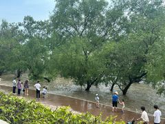 -宝安西湾红树林湿地公园