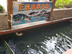 -侠成水上农庄(工业大道店)