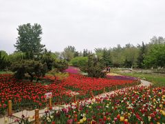 -济南植物园