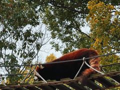 -上海野生动物园