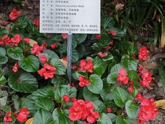 -四川大学(华西校区)