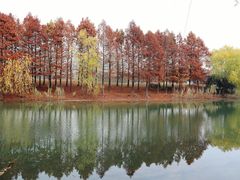 -石湖景区