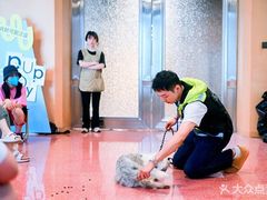 -帕帕拉兹宠物(亚洲旗舰店)