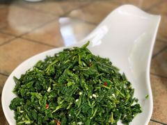 蒜泥桑叶芽-月圆霖特色农家乐