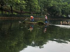-深圳龙潭公园