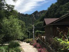 -大岭沟猕猴桃谷风景区