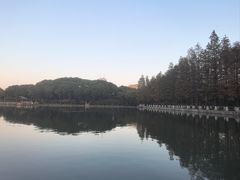-圩墩遗址公园