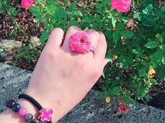 -亚龙湾国际玫瑰谷