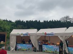 -嘉定紫藤园