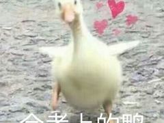 -众独空间沉浸式自习室(三阳路铂仕汇店)