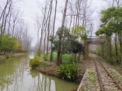 -合肥滨湖国家森林公园