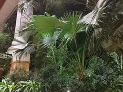 -国信南山温泉