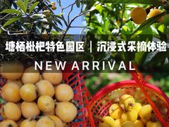 -塘栖枇杷特色园区