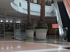 -圣爵菲斯大酒店(长沙世界之窗店)