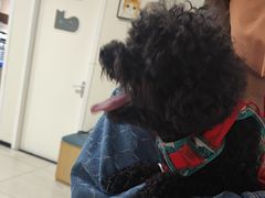 -美联众合动物医院·24h京西诊疗中心