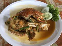 -Jungle Kitchen