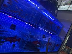 -鱼教头石泉老街石锅鱼(高新店)