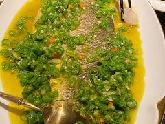 -甄御•海鲜新青岛菜(麦岛店)