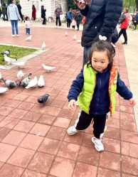 -玄武湖景区-情侣园游乐场