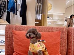 -LV路易威登(德基广场店)