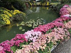 -杭州植物园