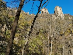 -大岭沟猕猴桃谷风景区