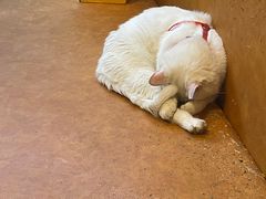 -春阳水饺(香槟广场店)