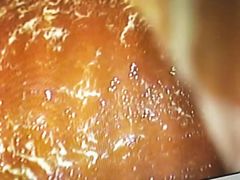 -宠福鑫康馨动物医院·骨科·眼科
