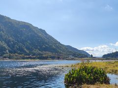 -腾冲北海湿地