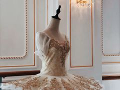 -芭蕾仙子 FairyBallet 少儿芭蕾舞蹈中心(丽都旗舰店)