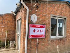 -甜心庄园·甜心草莓采摘园(西青中北店)