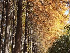 -浙江农林大学(东湖校区)