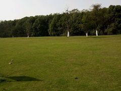 一个很大很大的草坪-艾溪湖湿地公园