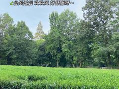 -杭州上天竺法喜讲寺